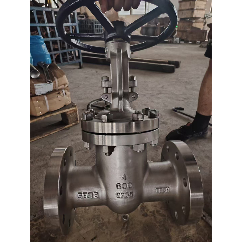 American standard gate valve 2205 material