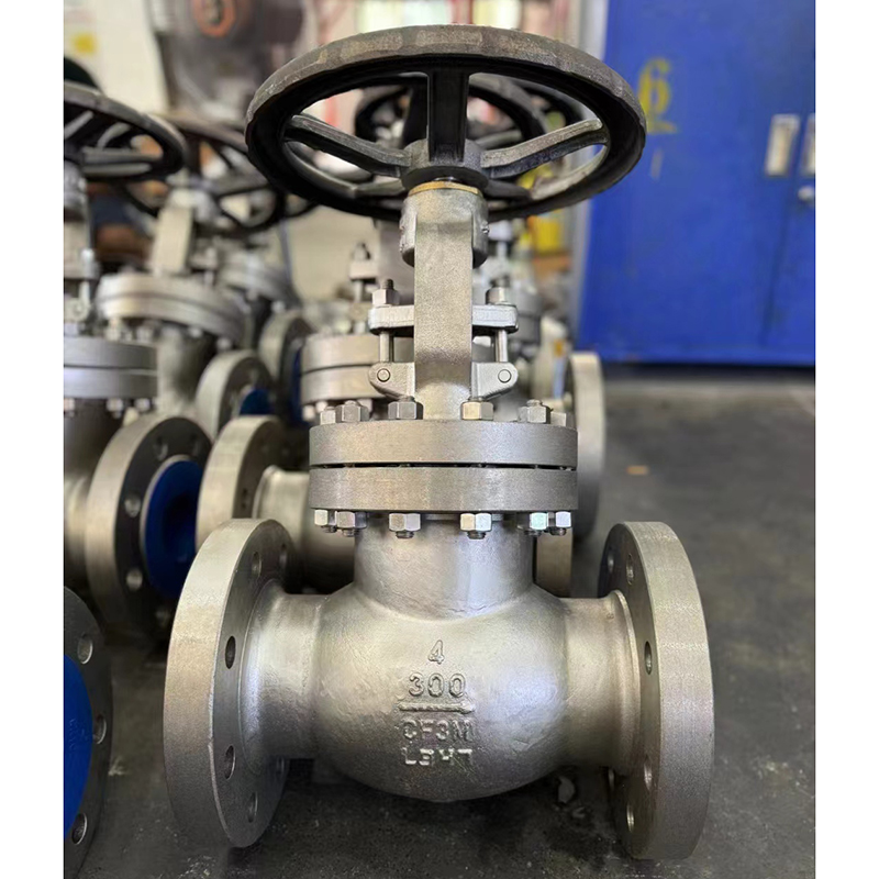 American standard globe valve CF3M material