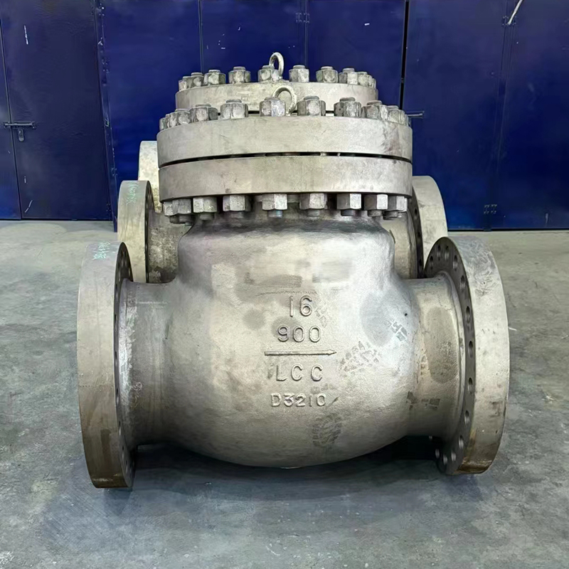 American standard check valve LCC material